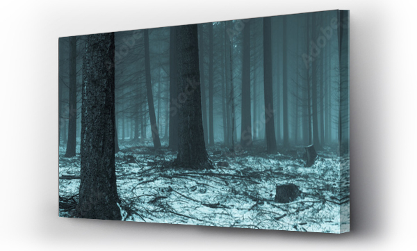 Wizualizacja Obrazu : #100956891 Wald Panorama mit Schnee und Nebel