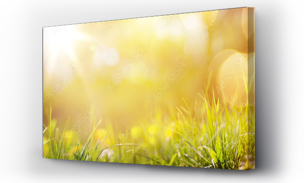 abstrakcyjne, lato, natura, streszczenie, wiosenny