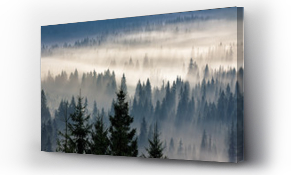 Wizualizacja Obrazu : #103355329 coniferous forest in foggy mountains