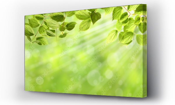 Krajobrazy, natura, Panorama, wiosenny