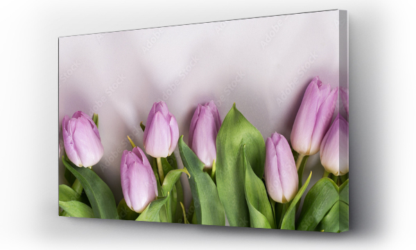 Wiosenny pastelowy bukiet liliowych tulipanw na biaym tle