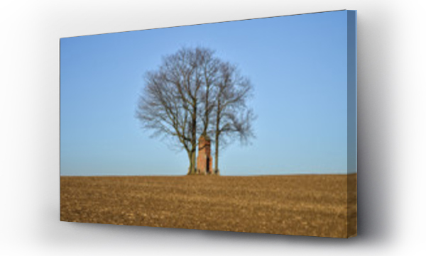 Wizualizacja Obrazu : #105621997 Samotne drzewo i kapliczka