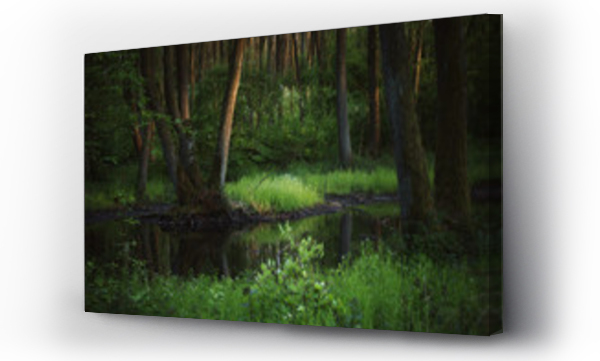 Wizualizacja Obrazu : #105971524 Wiosenny las