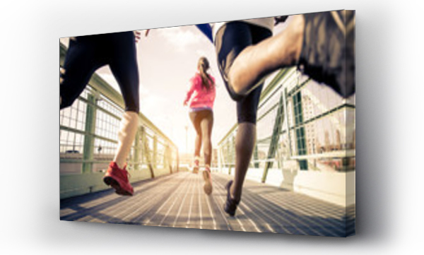 biegi, oczko, sport, sportowe