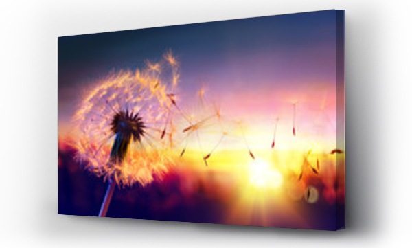Wizualizacja Obrazu : #107327055 Dandelion To Sunset - Freedom to Wish
