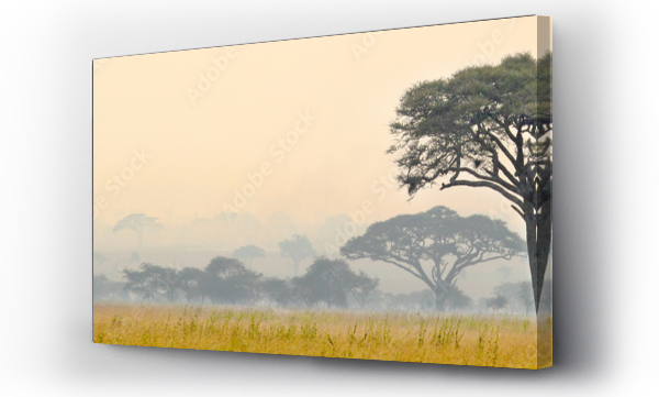 Piękna sceneria parku narodowego Serengeti