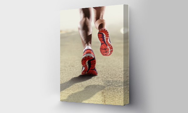 Wizualizacja Obrazu : #108546540 rear view close up strong athletic female legs running shoes sport woman jogging
