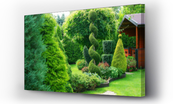 Wizualizacja Obrazu : #109354875 Strzępione rośliny ozdobne w ogrodzie