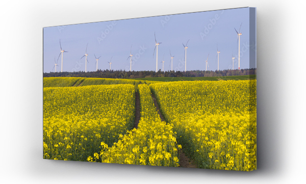 Wizualizacja Obrazu : #109370446 Panorama wiosennego pola
