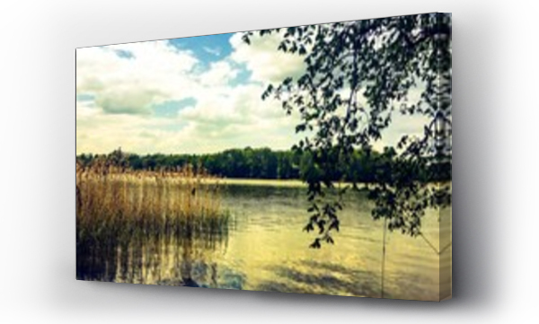 drzewo nad brzegiem jeziora