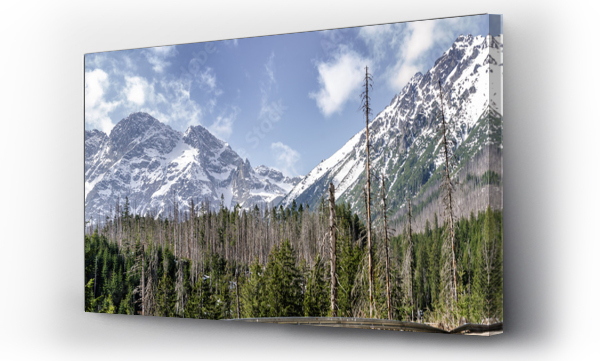góry, lasy, zakopane  morskie oko, zakopane woda