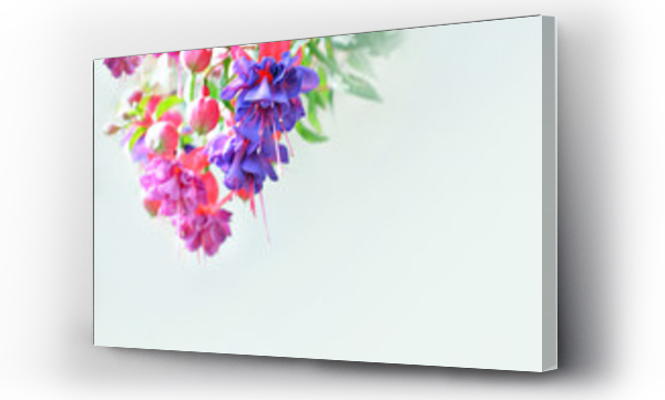 Wizualizacja Obrazu : #111266129 Kolorowe kwiaty w promieniach ?wiat?a i puste miejsce dla tekstu