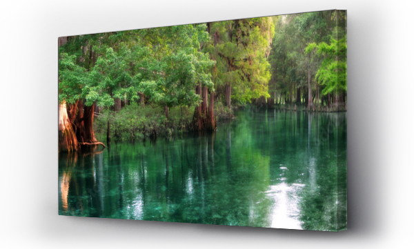Panorama rzeki zasilanej źródłami na Florydzie