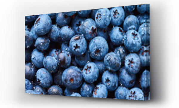 Wizualizacja Obrazu : #113828332 Blueberry with drops of water