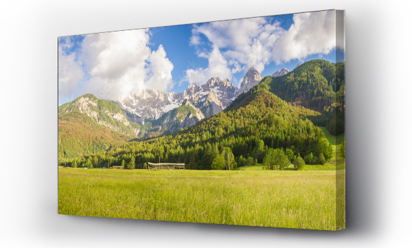 góry, Kwiaty, łąka, Łąka kwiaty