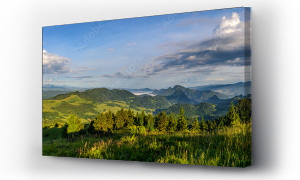 góry, las, szczawnica