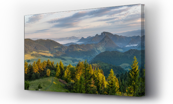 drzewa, las, pejzaż