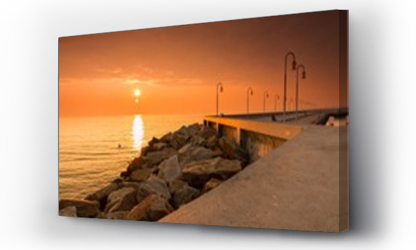 drzewo, morze, plaża