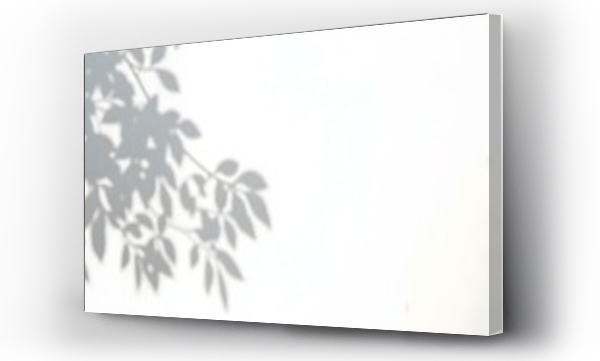 abstrakcyjne, Szczegóły