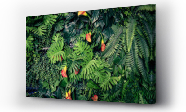 Wizualizacja Obrazu : #117285228 Modne zielone tło letniej dżungli - w egzotycznym tonie vintage
