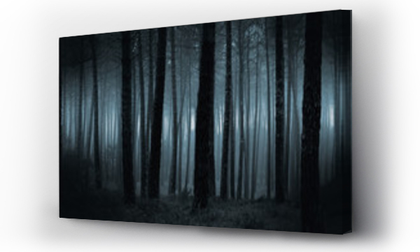 Wizualizacja Obrazu : #117810040 Dark foggy forest