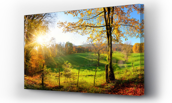 Krajobrazy, las, natura, Panorama, panoramiczny, perspektywa, perspektywy, sposób, widok, łąki