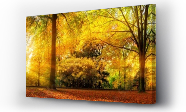Wyjątkowo szeroka panorama malowniczego lasu jesienią w złotym słońcu