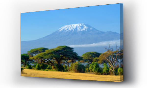 Kilimandżaro na afrykańskiej sawannie