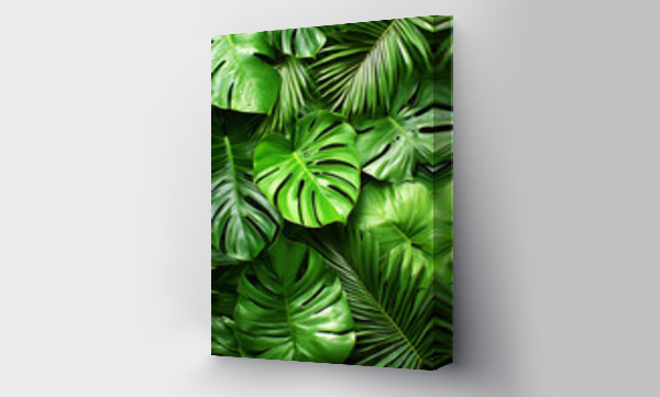 monstera