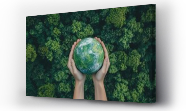 lives tree, natura, planeta ziemia