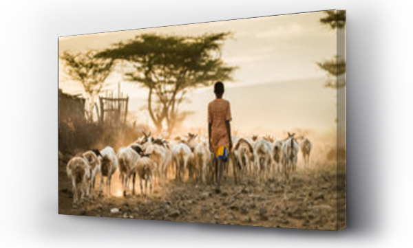 Wizualizacja Obrazu : #122058730 African Livestock