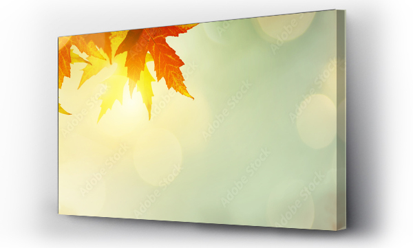 Wizualizacja Obrazu : #122179295 abstrakcyjna natura jesień Tło z żółtymi liśćmi