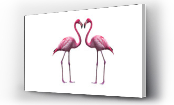 Ptak flamingo chodzenie na białym tle, flamingo izolowane na białym tle, Piękny flaming ptak