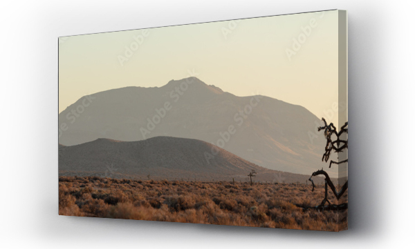 Wizualizacja Obrazu : #122662205 Cactus in desert, panorama