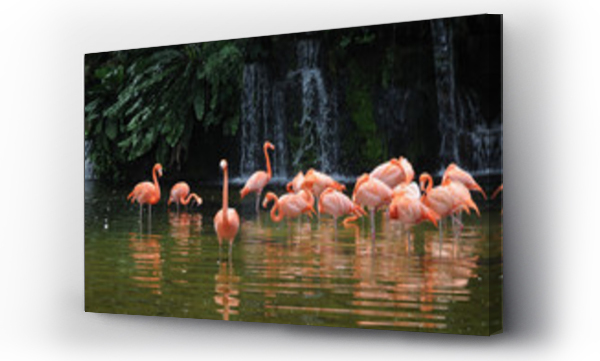 Wizualizacja Obrazu : #123018314 Pink long legs flamingo birds in a pond