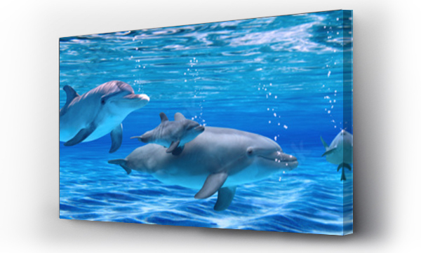 Panorama podwodnego życia. Delfiny