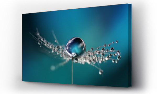 Dmuchawce, fioletowe kwiaty, makro, natura