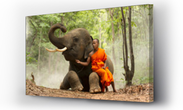 Wizualizacja Obrazu : #124246061  Monk with elephant in the forest .