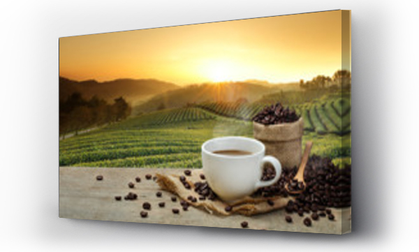 Kawa, kielich, plantacji, puchar