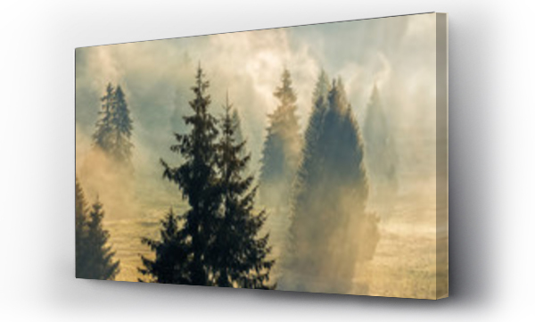 Wizualizacja Obrazu : #126977580 fog in the spruce forest