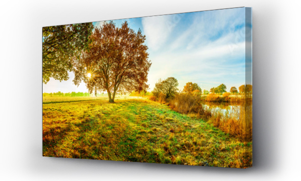 Wizualizacja Obrazu : #127947174 Panorama einer idyllischen Landschaft im Herbst bei Sonnenschein