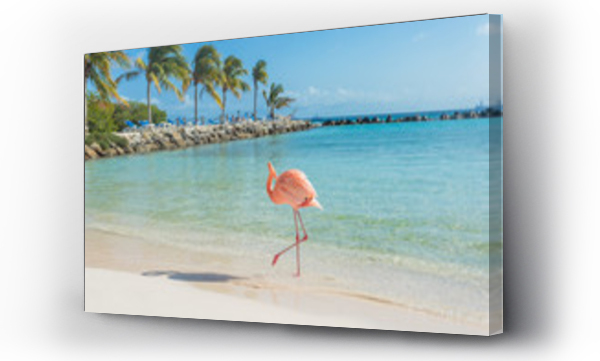 Wizualizacja Obrazu : #129259362 One flamingo on the beach