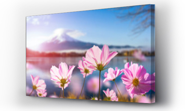 Wizualizacja Obrazu : #129296277 Pink cosmos flower blooming with translucent at petal on blurred Fuji mountain background