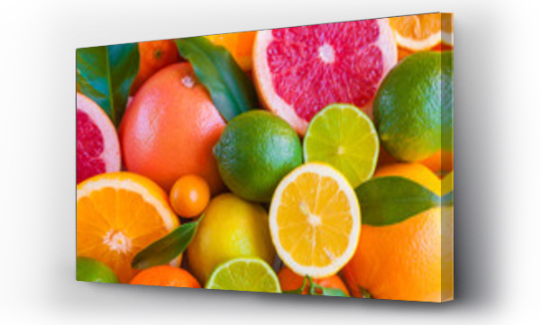Wizualizacja Obrazu : #129303232 Various citrus fruits (orange, grapeftuit, lemon, mandarine, lime)