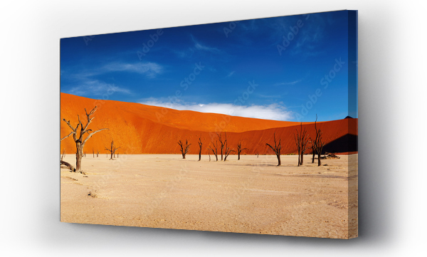 afryka, Panorama, pustynia