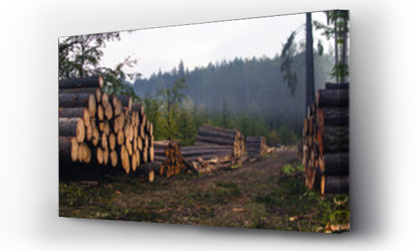 drewno, drzewo, ułożone