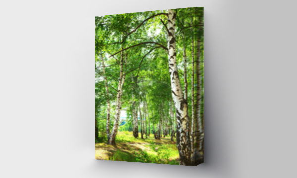 Wizualizacja Obrazu : #131439460 summer in sunny birch forest