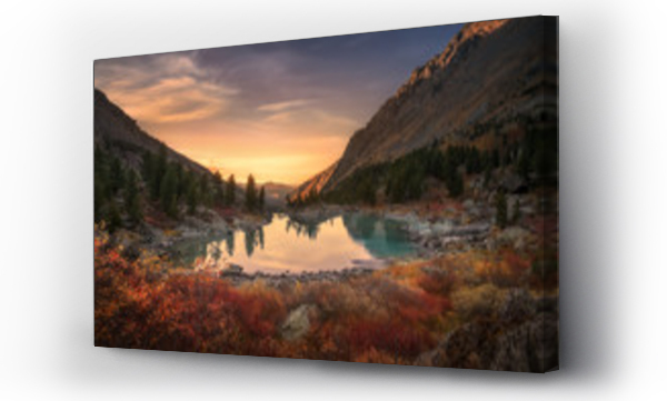 Krajobrazy, las, natura