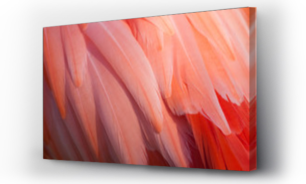 Wizualizacja Obrazu : #13384156 Detal Flamingo