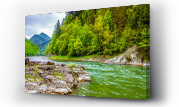 góry, las, Las rzeka